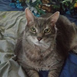 Meet your Posher, Juliane